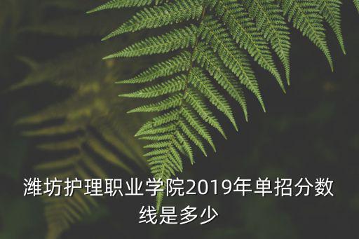 濰坊護(hù)理職業(yè)學(xué)院院有多少人,濰坊護(hù)理職業(yè)學(xué)院怎么樣