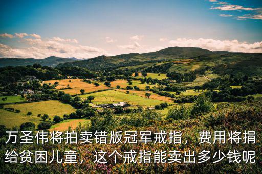 廣東宏遠男籃冠軍戒指價值多少錢,這個戒指能賣出多少錢呢