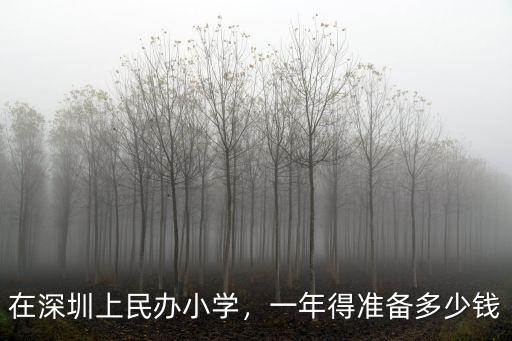 深圳小一入學買校服多少錢,深圳所有學校校服統一
