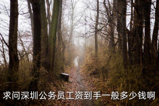 深圳工作多少錢呢,剛剛辭了工作來深圳
