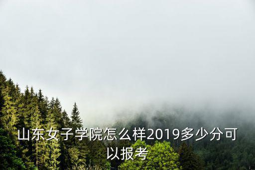 山東女子學(xué)院校企合作多少分,2019多少分可以報考
