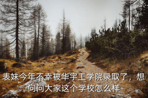 表妹今年不幸被華宇工學院錄取了，想問問大家這個學校怎么樣