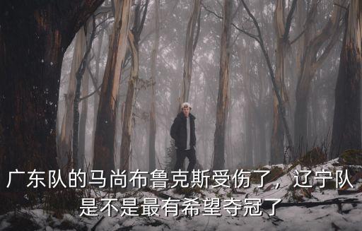 廣東隊的馬尚布魯克斯受傷了，遼寧隊是不是最有希望奪冠了