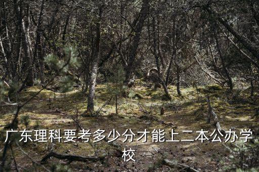 廣東理科要考多少分才能上二本公辦學校