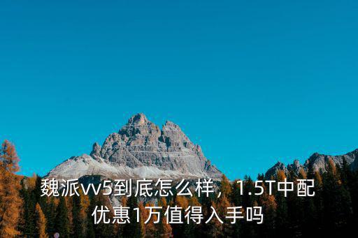 濱州魏派vv5優(yōu)惠多少,vv5落地多少錢(qián)