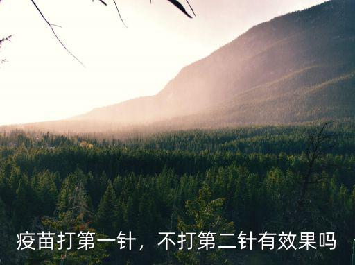 疫苗打第一針，不打第二針有效果嗎