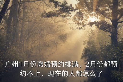 廣州離婚名額滿了怎么辦,廣州離婚預(yù)約名額爆滿