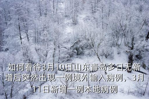 如何看待3月10日山東青島多日無新增后突然出現一例境外輸入病例，3月11日新增一例本地病例