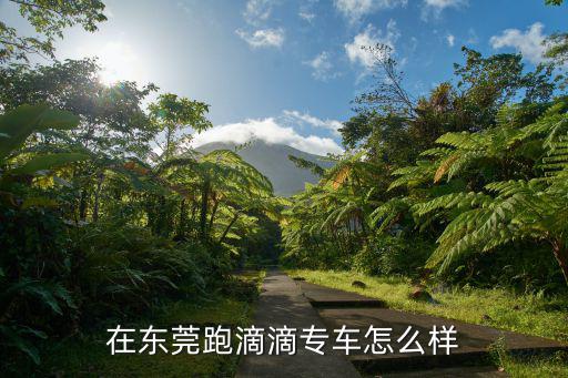 在東莞跑滴滴專車怎么樣