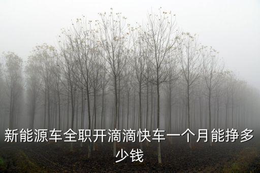 新能源車全職開滴滴快車一個月能掙多少錢