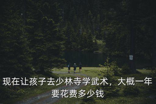 佛山學(xué)散打一年要多少錢(qián),大概一年要花費(fèi)多少錢(qián)