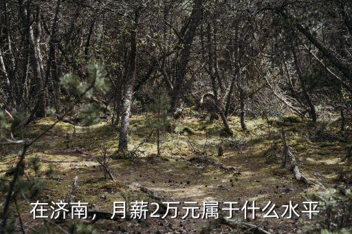 在濟(jì)南要存多少錢,在濟(jì)南從懷孕到生