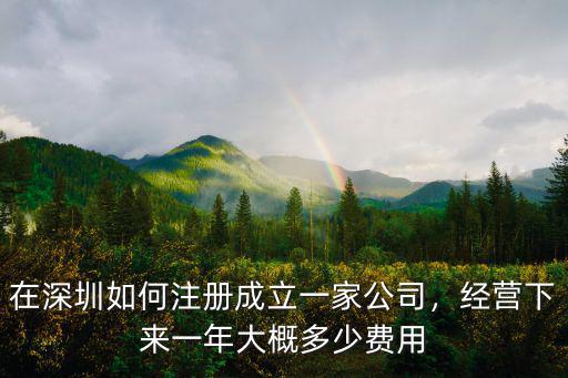 深圳一年大約多少,在深圳如何注冊(cè)成立一家公司