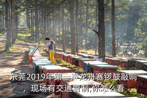 東莞2020年哪里有龍舟比賽,現(xiàn)場(chǎng)有交通管制