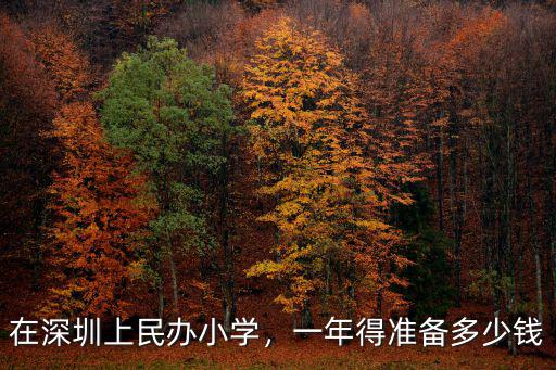 深圳公立小學(xué)學(xué)雜費(fèi)大約多少,在深圳上民辦小學(xué)