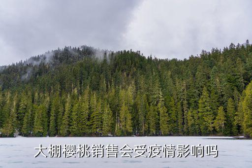 廣東溫室大棚櫻桃哪里賣,煙臺大棚櫻桃成熟都去哪賣