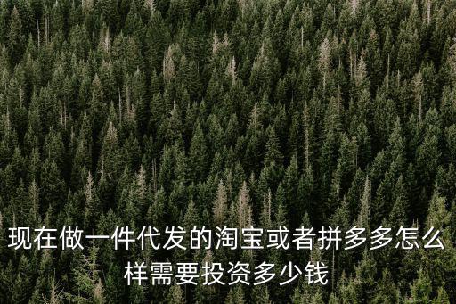 現在做一件代發的淘寶或者拼多多怎么樣需要投資多少錢