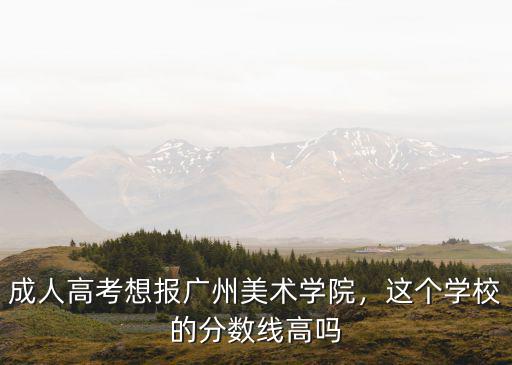 廣州美術(shù)學(xué)院成人高考怎么報名,廣美成人高考專升本要考什么