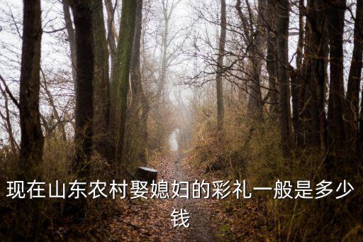 現在山東農村娶媳婦的彩禮一般是多少錢