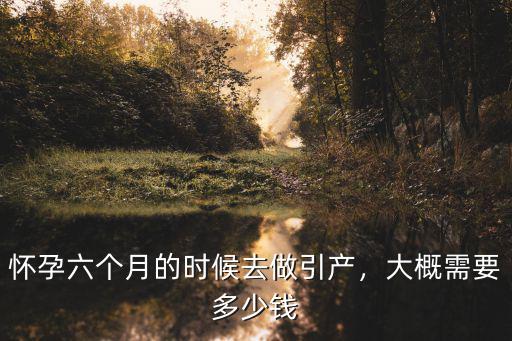 懷孕六個月的時候去做引產，大概需要多少錢