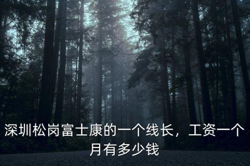 深圳富士康宿舍區在哪里,深圳松崗富士康的一個線長
