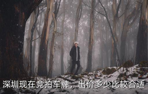 深圳小汽車車牌競價多少錢,深圳現在競拍車牌