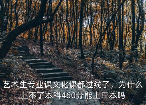 藝術(shù)生專業(yè)課文化課都過線了，為什么上不了本科460分能上二本嗎