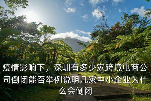 深圳有多少財富公司倒閉了,深圳知名電商公司墨燦倒閉
