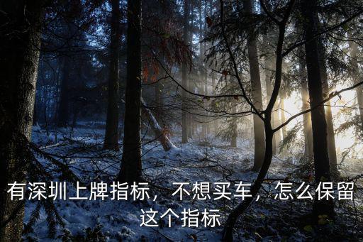 有深圳上牌指標，不想買車，怎么保留這個指標
