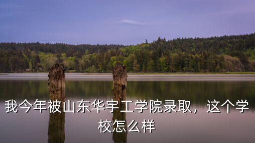 山東華宇工學院學校代碼是多少,我今年被山東華宇工學院錄取