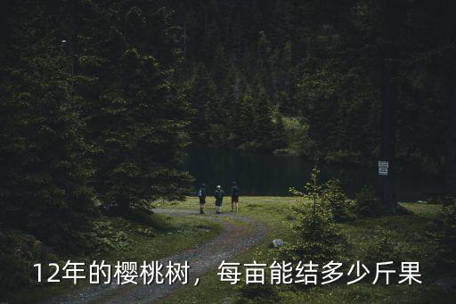 12年的櫻桃樹，每畝能結多少斤果