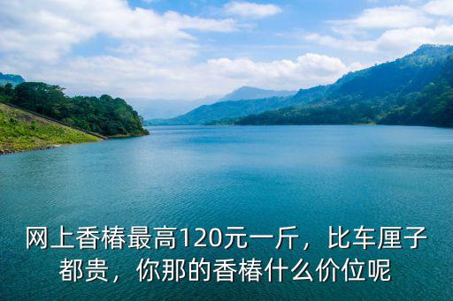 廣州賣香椿多少錢一斤,網(wǎng)上香椿最高120元一斤