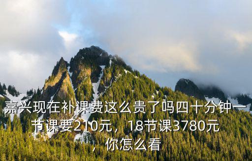 嘉興現在補課費這么貴了嗎四十分鐘一節課要210元，18節課3780元，你怎么看