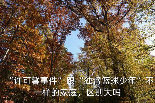 “許可馨事件”跟“獨臂籃球少年”不一樣的家庭，區別大嗎