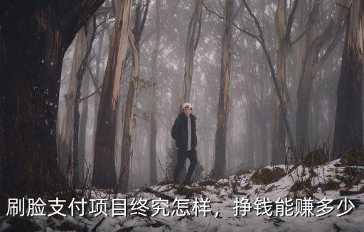 刷臉支付項目終究怎樣，掙錢能賺多少