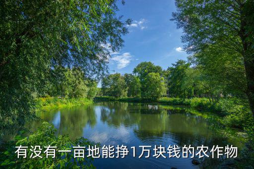 有沒有一畝地能掙1萬塊錢的農(nóng)作物