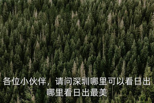 深圳附近哪里看日出最美,請問深圳哪里可以看日出