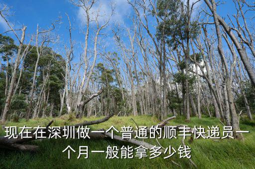 深圳送快遞一個月能拿多少,在深圳送快遞怎么樣