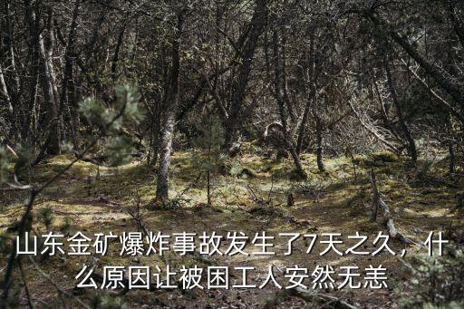 山東金礦爆炸事故發生了7天之久，什么原因讓被困工人安然無恙