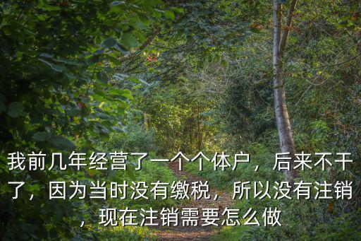 我前幾年經(jīng)營(yíng)了一個(gè)個(gè)體戶，后來(lái)不干了，因?yàn)楫?dāng)時(shí)沒(méi)有繳稅，所以沒(méi)有注銷，現(xiàn)在注銷需要怎么做
