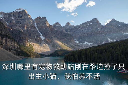 深圳好運媽媽在哪里,單親媽媽在深圳