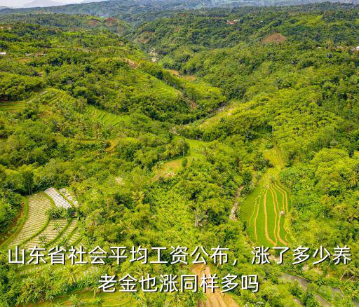 山東省2020年全口徑平均工資是多少,山東省平均養(yǎng)老金有多少錢