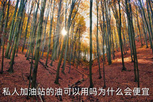 山東的柴油多少錢一升私人加油站,私人加油站的油可以用嗎
