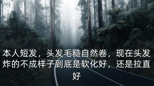 本人短發，頭發毛糙自然卷，現在頭發炸的不成樣子到底是軟化好，還是拉直好