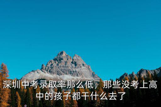 深圳中考成績差的學生怎么辦,深圳中考錄取率那么低