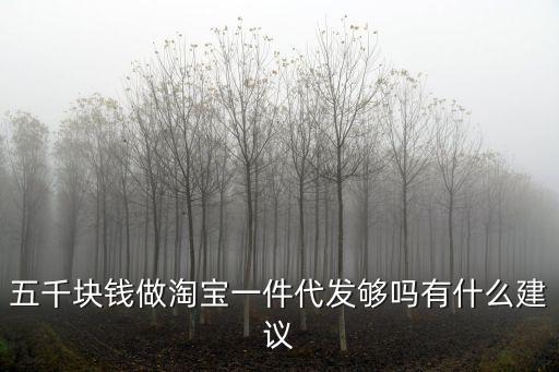 五千塊錢做淘寶一件代發夠嗎有什么建議