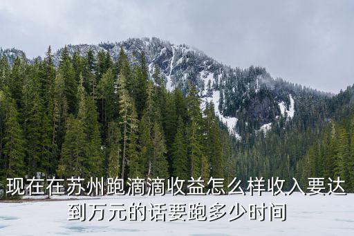 現在在蘇州跑滴滴收益怎么樣收入要達到萬元的話要跑多少時間