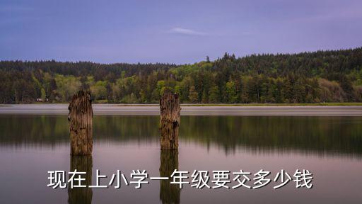 現(xiàn)在上小學(xué)一年級要交多少錢