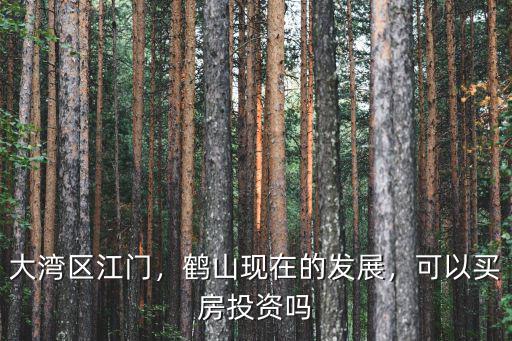 大灣區江門，鶴山現在的發展，可以買房投資嗎