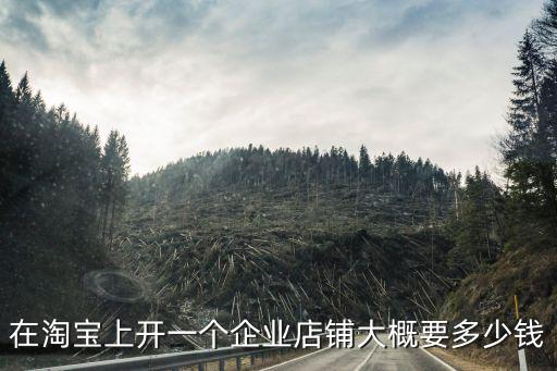 東莞哪里開(kāi)淘寶的多少錢(qián),現(xiàn)在開(kāi)淘寶店大概需要多少錢(qián)